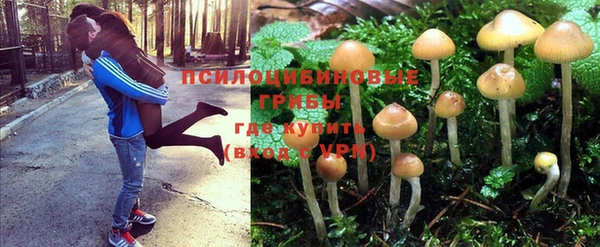 прущая мука Армянск