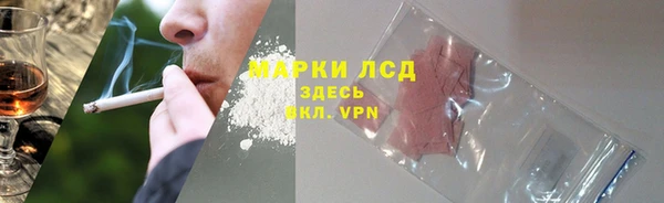 apvp Аркадак