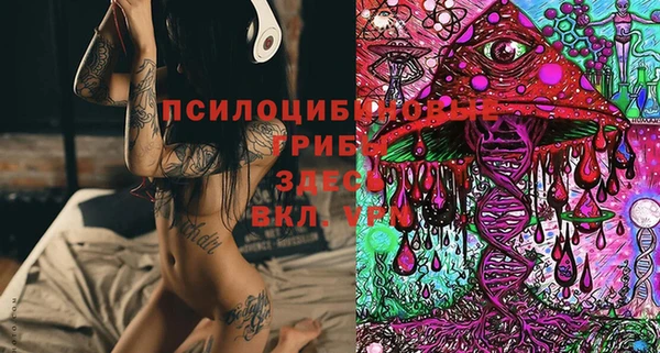 гидропоника Арсеньев