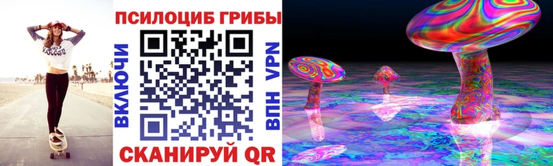 Галлюциногенные грибы Magic Shrooms  Михайлов 